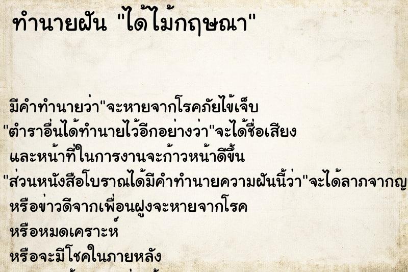 ทำนายฝัน ได้ไม้กฤษณา