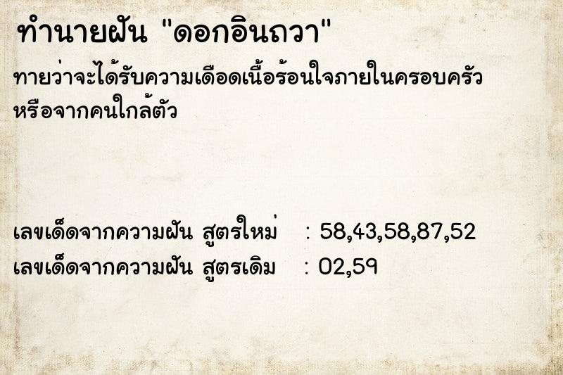 ทำนายฝัน ดอกอินถวา