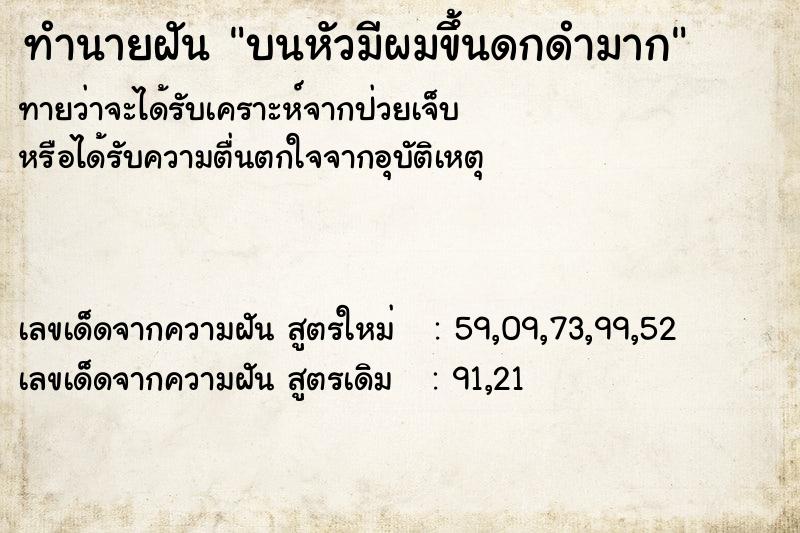 ทำนายฝัน บนหัวมีผมขึ้นดกดำมาก