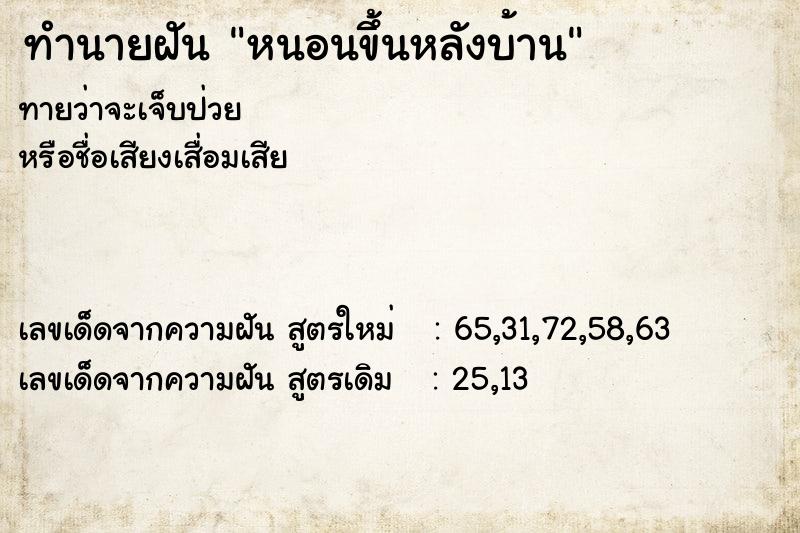 ทำนายฝัน หนอนขึ้นหลังบ้าน