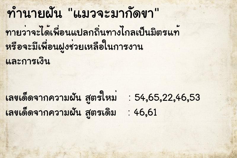 ทำนายฝัน แมวจะมากัดขา