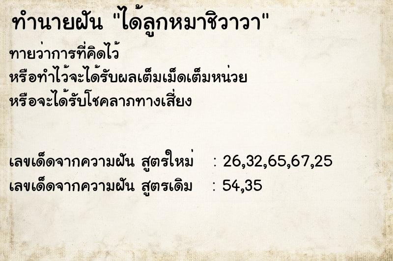 ทำนายฝัน ได้ลูกหมาชิวาวา