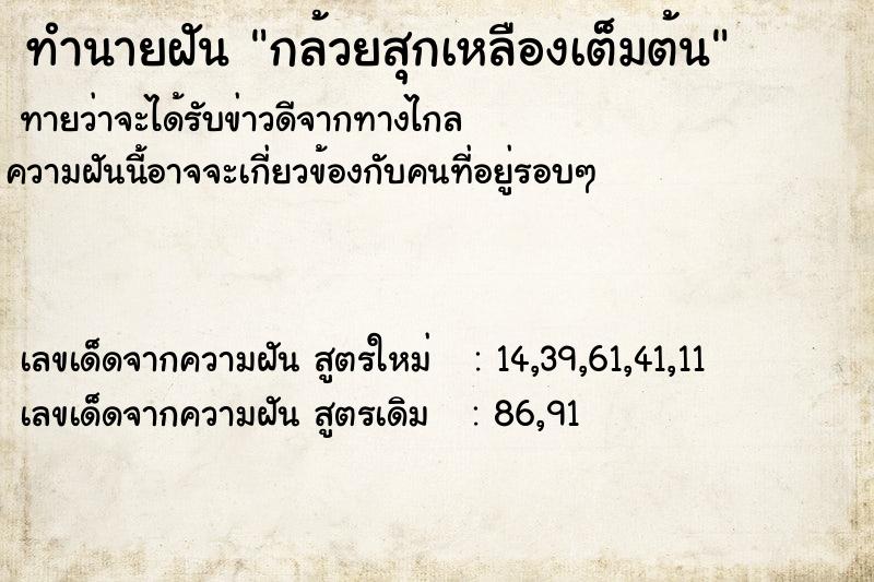 ทำนายฝัน กล้วยสุกเหลืองเต็มต้น  เลขนำโชค 