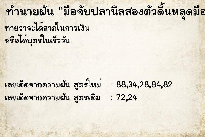 ทำนายฝัน มือจับปลานิลสองตัวดิ้นหลุดมือ1ตัว  เลขนำโชค 