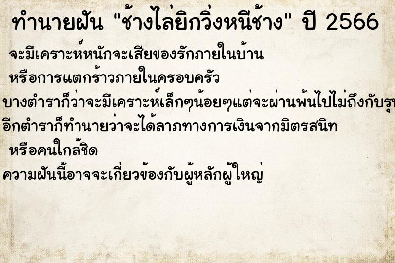 ทำนายฝัน ช้างไล่ยิกวิ่งหนีช้าง