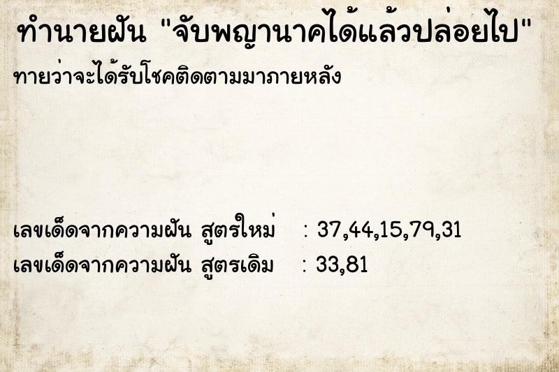 ทำนายฝัน จับพญานาคได้แล้วปล่อยไป