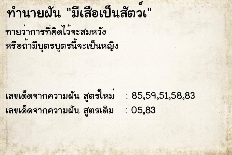 ทำนายฝัน มีเสือเป็นสัตว์เ