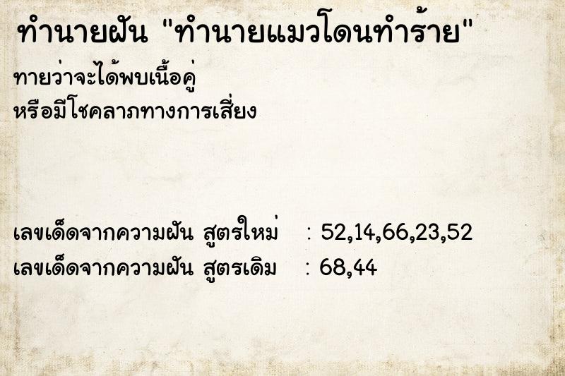 ทำนายฝัน ทำนายแมวโดนทำร้าย