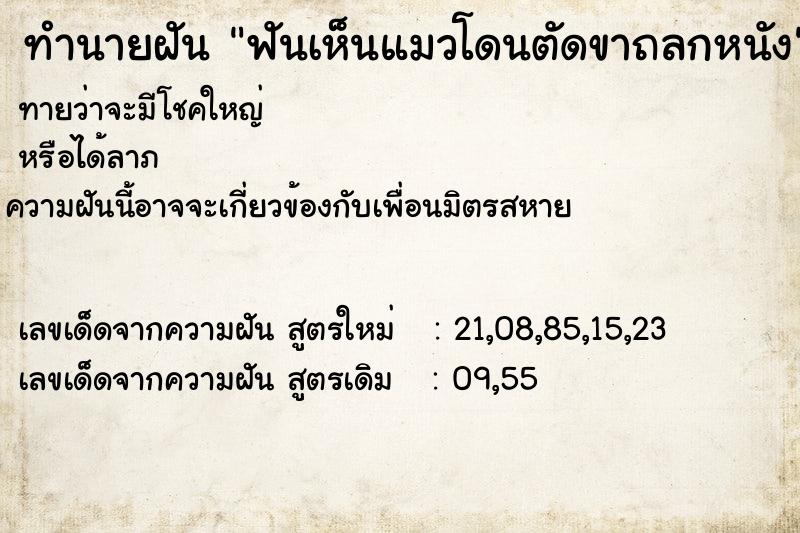 ทำนายฝัน ฟันเห็นแมวโดนตัดขาถลกหนัง