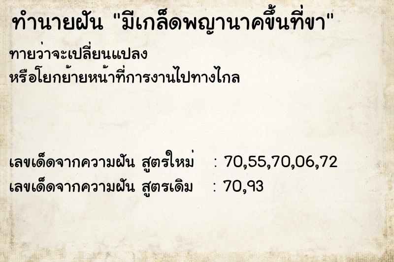 ทำนายฝัน มีเกล็ดพญานาคขึ้นที่ขา