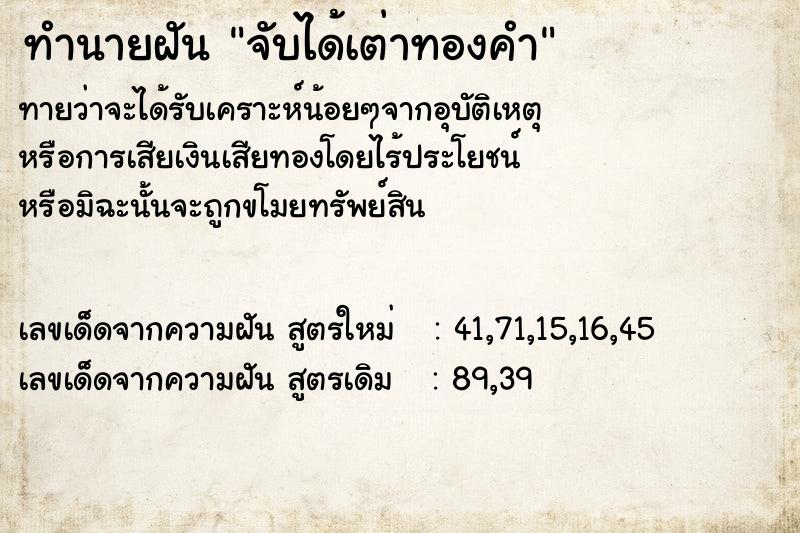 ทำนายฝัน จับได้เต่าทองคำ