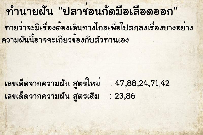 ทำนายฝัน ปลาช่อนกัดมือเลือดออก