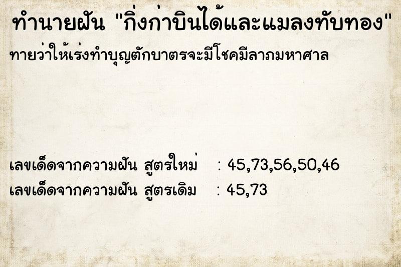 ทำนายฝัน กิ่งก่าบินได้และแมลงทับทอง