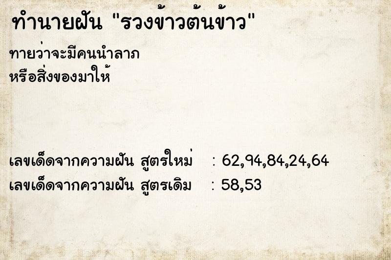 ทำนายฝัน รวงข้าวต้นข้าว