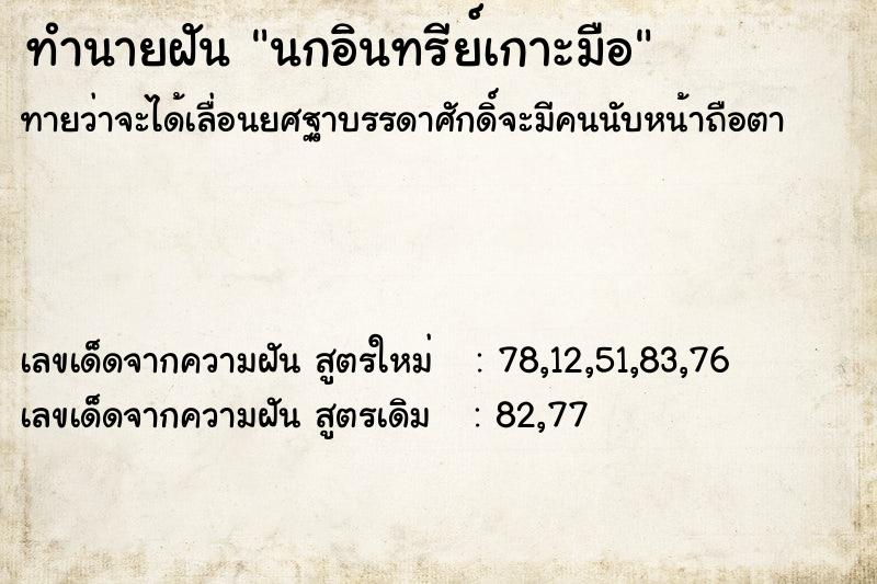 ทำนายฝัน นกอินทรีย์เกาะมือ