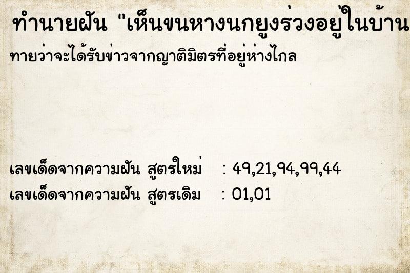 ทำนายฝัน เห็นขนหางนกยูงร่วงอยู่ในบ้าน