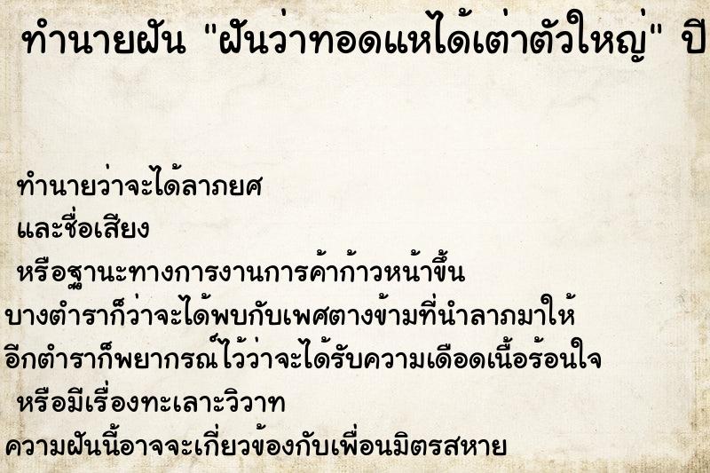 ทำนายฝัน ฝัััันว่าทอดแหได้เต่าตัวใหญ่