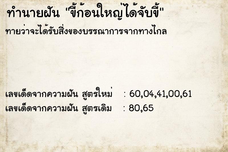 ทำนายฝัน ขี้ก้อนใหญ่ได้จับขี้