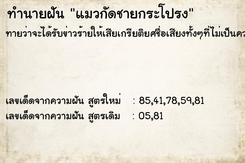 ทำนายฝัน แมวกัดชายกระโปรง