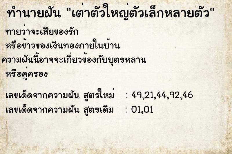 ทำนายฝัน เต่าตัวใหญ่ตัวเล็กหลายตัว  เลขนำโชค 