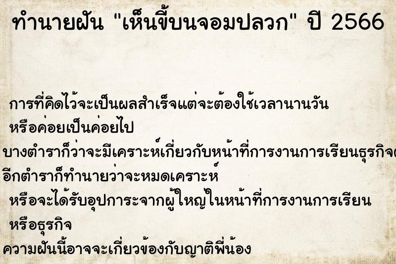 ทำนายฝัน เห็นขี้บนจอมปลวก  เลขนำโชค 