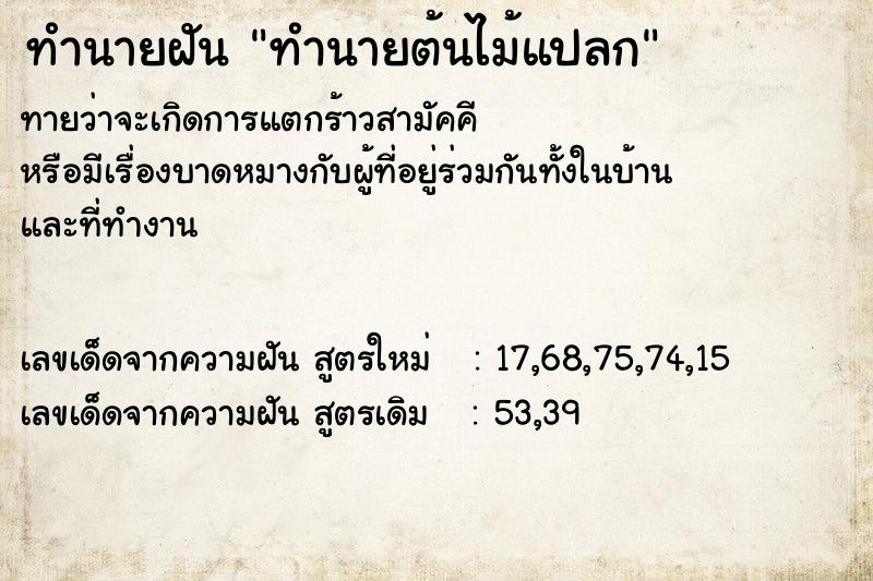 ทำนายฝัน ทำนายต้นไม้แปลก