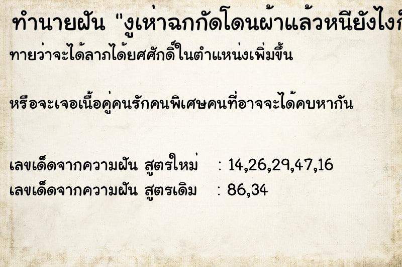 ทำนายฝัน งูเห่าฉกกัดโดนผ้าแล้วหนียังไงก็ไม่ได้