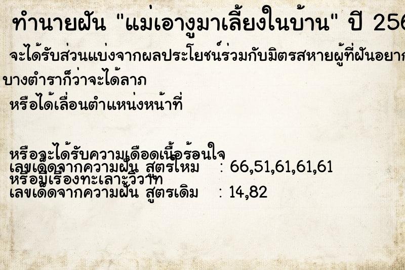 ทำนายฝัน แม่เอางูมาเลี้ยงในบ้าน  เลขนำโชค 