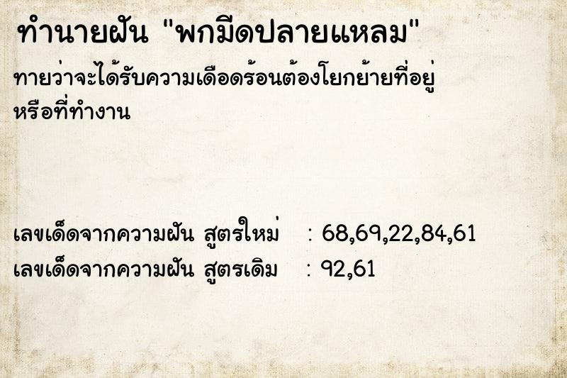 ทำนายฝัน พกมีดปลายแหลม