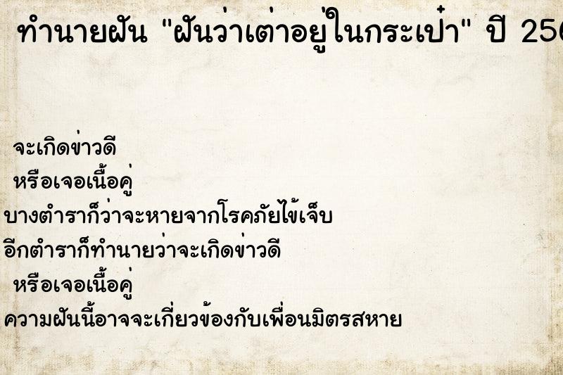 ทำนายฝัน ฝันว่าเต่าอยู่ในกระเป๋า