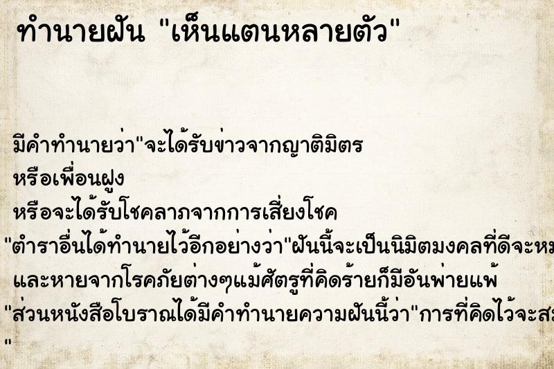 ทำนายฝัน เห็นแตนหลายตัว