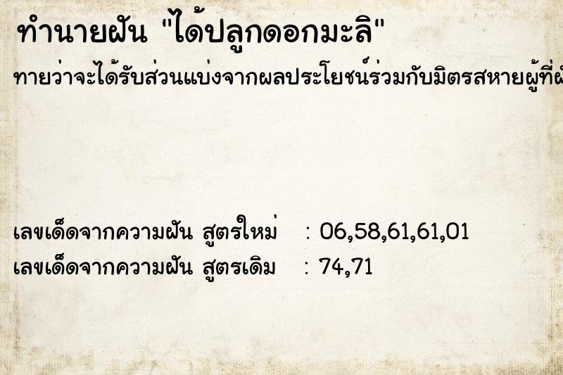 ทำนายฝัน ได้ปลูกดอกมะลิ