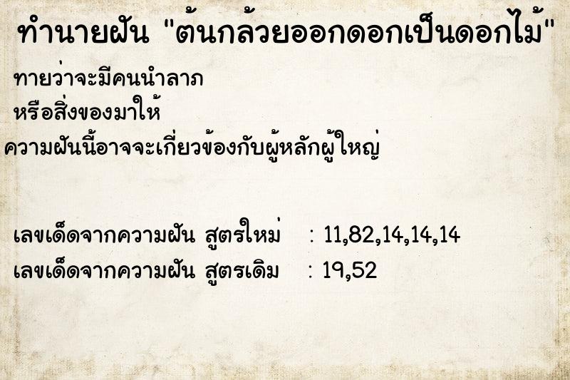 ทำนายฝัน ต้นกล้วยออกดอกเป็นดอกไม้