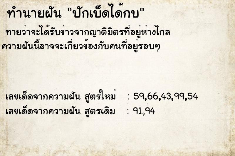 ทำนายฝัน ปักเบ็ดได้กบ