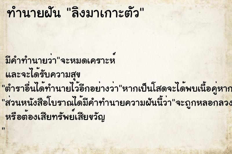 ทำนายฝัน ลิงมาเกาะตัว