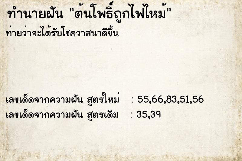 ทำนายฝัน ต้นโพธิ์ถูกไฟไหม้