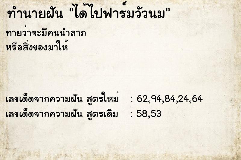 ทำนายฝัน ได้ไปฟาร์มวัวนม