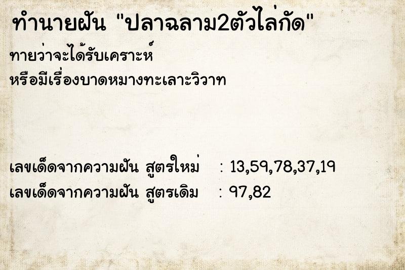 ทำนายฝัน ปลาฉลาม2ตัวไล่กัด