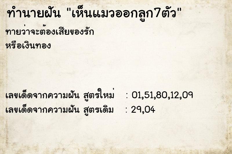 ทำนายฝัน เห็นแมวออกลูก7ตัว