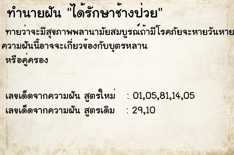 ทำนายฝัน ได้รักษาช้างป่วย