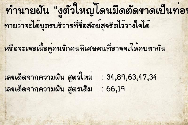 ทำนายฝัน งูตัวใหญ่โดนมีดตัดขาดเป็นท่อน