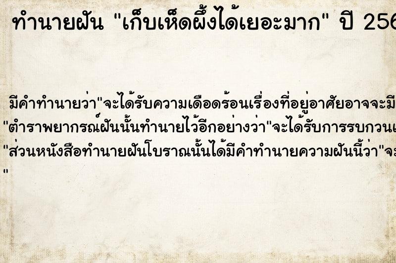 ทำนายฝัน เก็บเห็ดผึ้งได้เยอะมาก  เลขนำโชค 