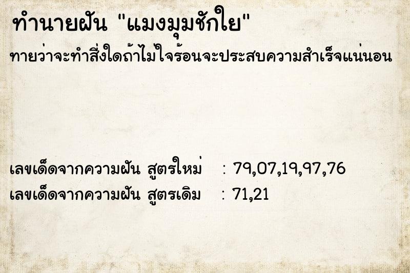 ทำนายฝัน #ทำนายฝัน #แมงมุมชักใย  เลขนำโชค 