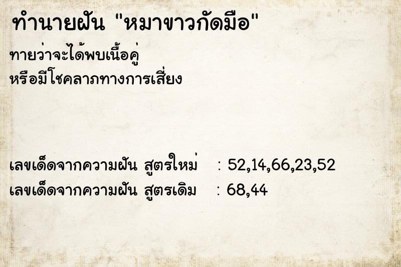 ทำนายฝัน หมาขาวกัดมือ  เลขนำโชค 