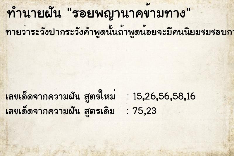 ทำนายฝัน รอยพญานาคข้ามทาง