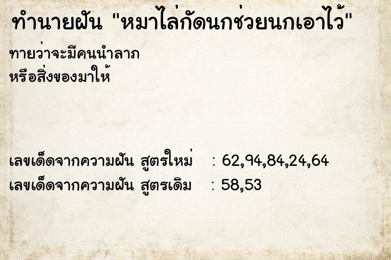 ทำนายฝัน หมาไล่กัดนกช่วยนกเอาไว้