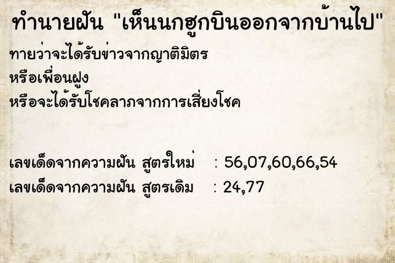 ทำนายฝัน เห็นนกฮูกบินออกจากบ้านไป