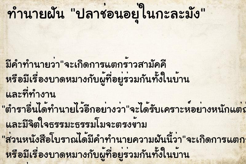 ทำนายฝัน ปลาช่อนอยุ่ในกะละมัง