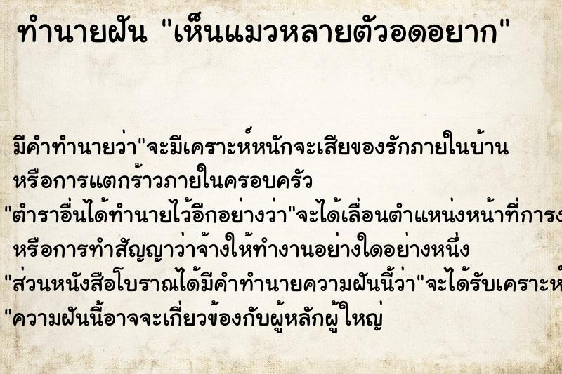 ทำนายฝัน เห็นแมวหลายตัวอดอยาก