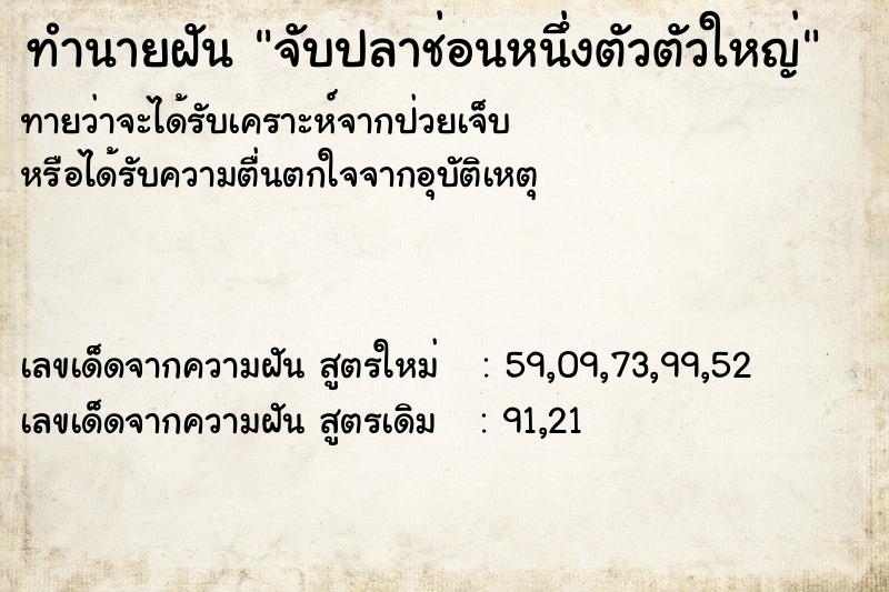 ทำนายฝัน จับปลาช่อนหนึ่งตัวตัวใหญ่